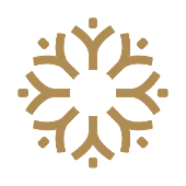 Vlaams Mensenrechteninstituut